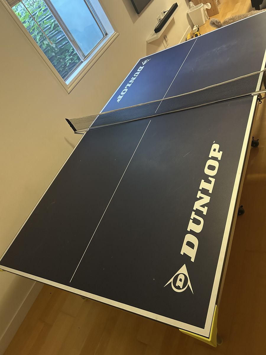 Ping pong table