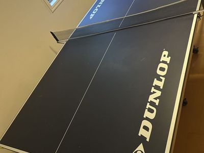 Ping pong table