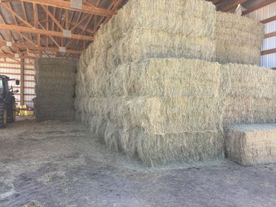 1st Crop Grass 3X3