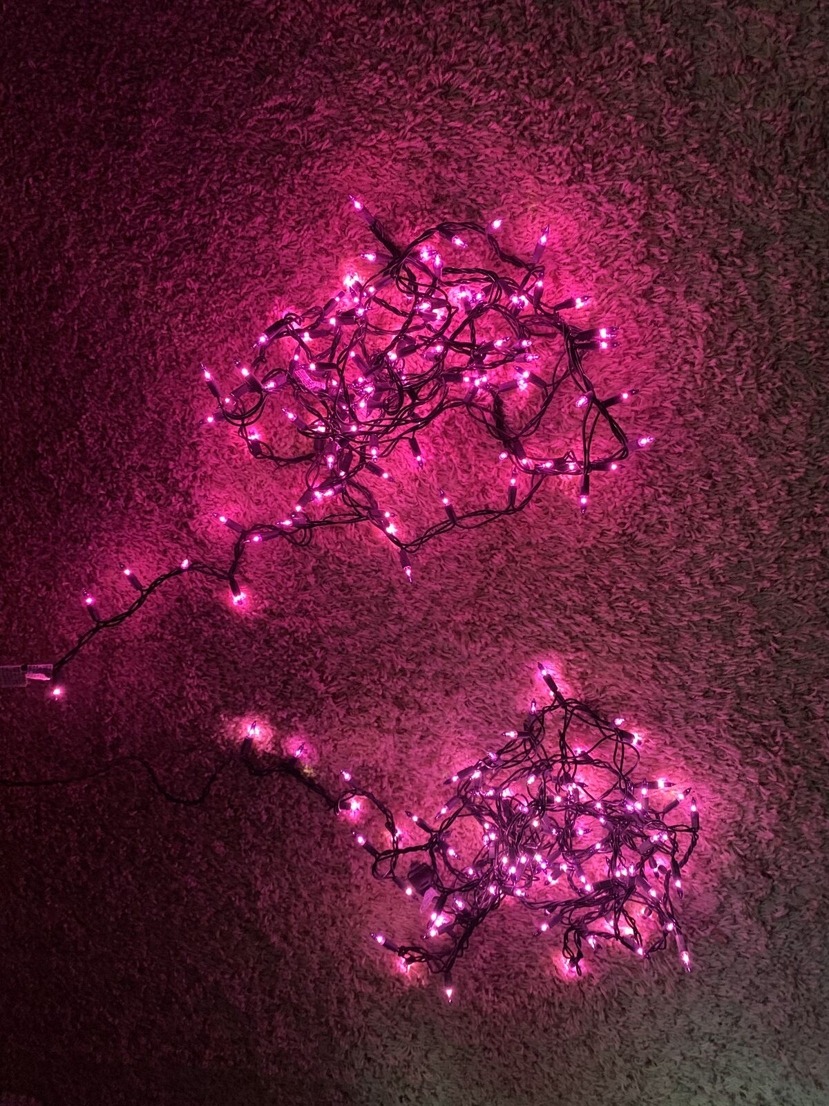 2 Sets of Purple Halloween Lights