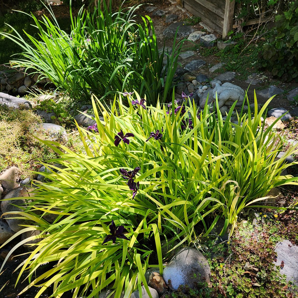 Main image 4