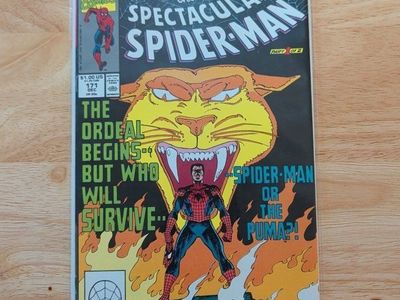 The Spectacular Spider-Man #171 (Marvel Comics Jun