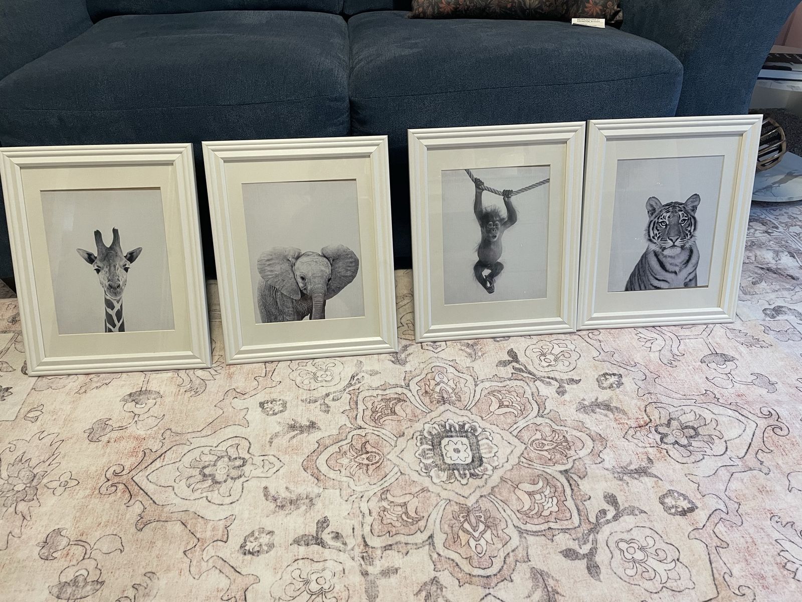 4 Animal Framed Pictures 