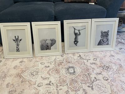 4 Animal Framed Pictures