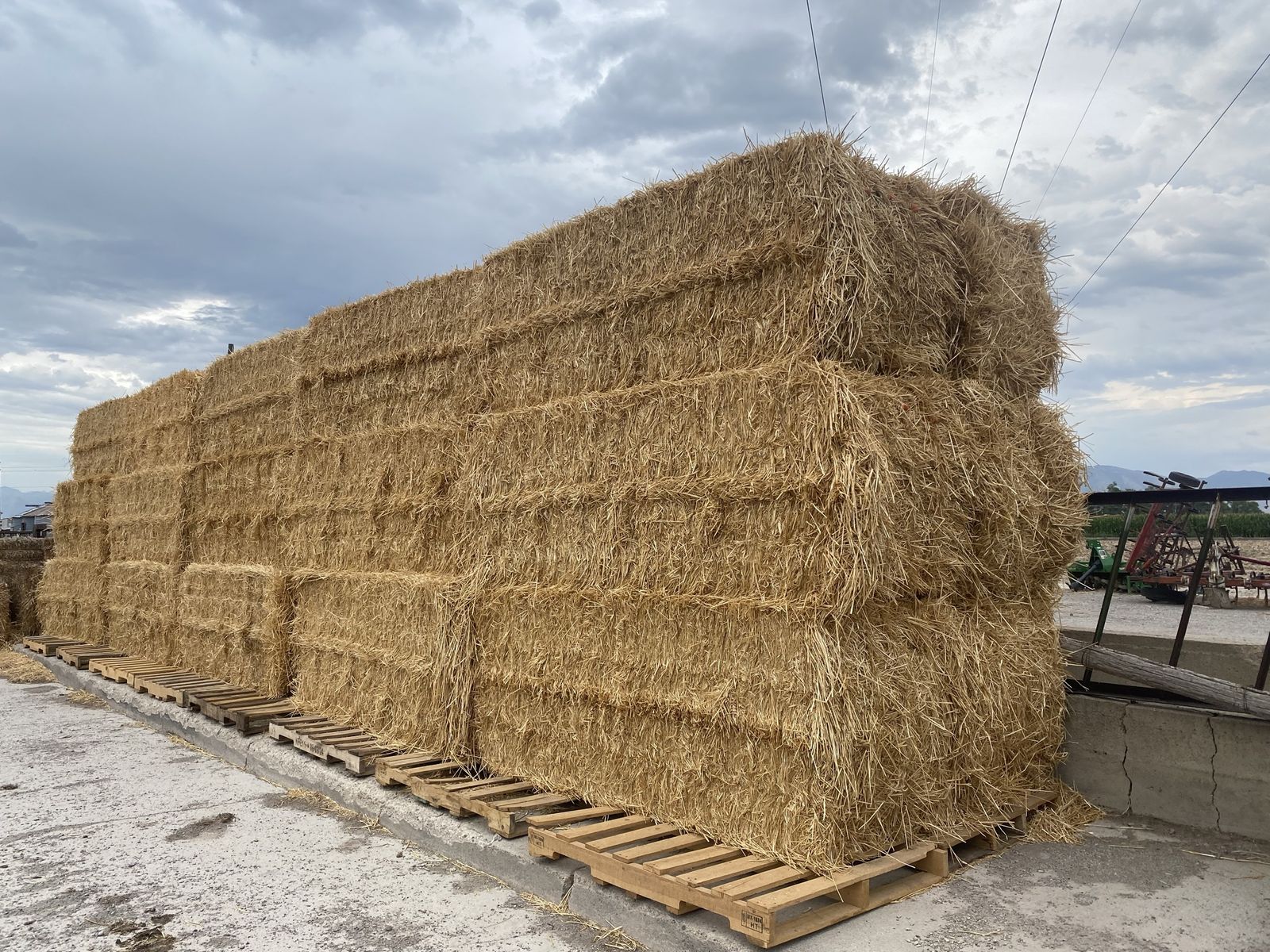 Big straw bales 3x3x8 