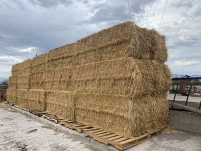 Big straw bales 3x3x8