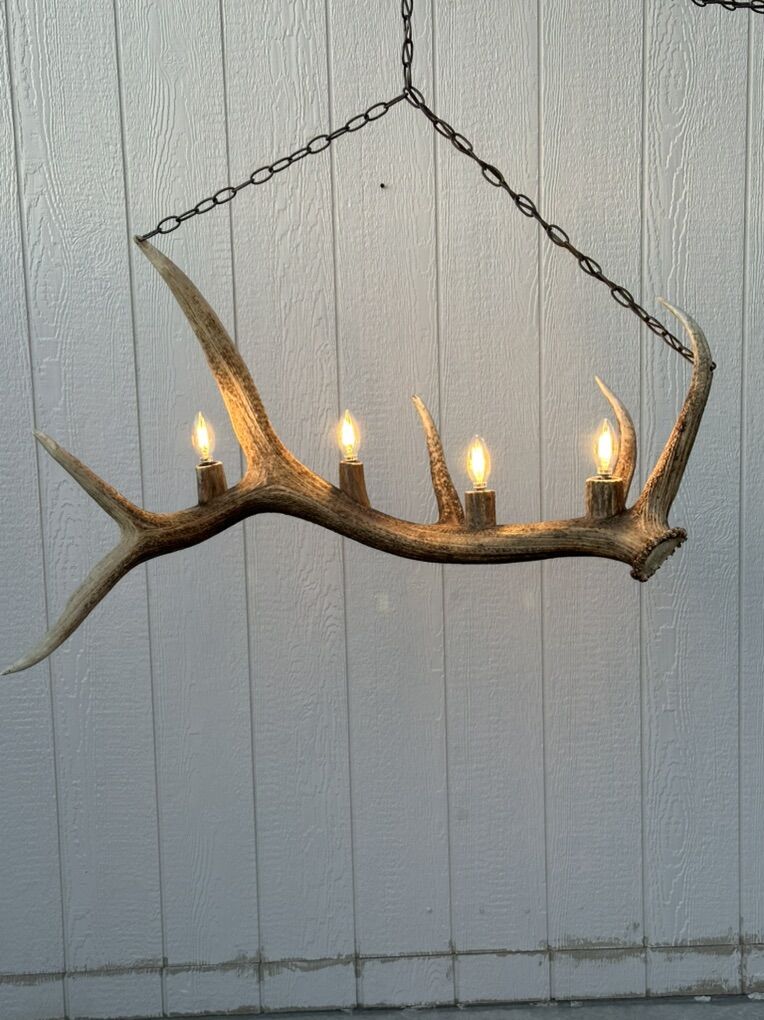 Single Antler Elk Chandelier