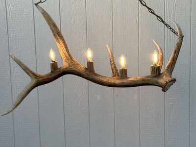 Single Antler Elk Chandelier