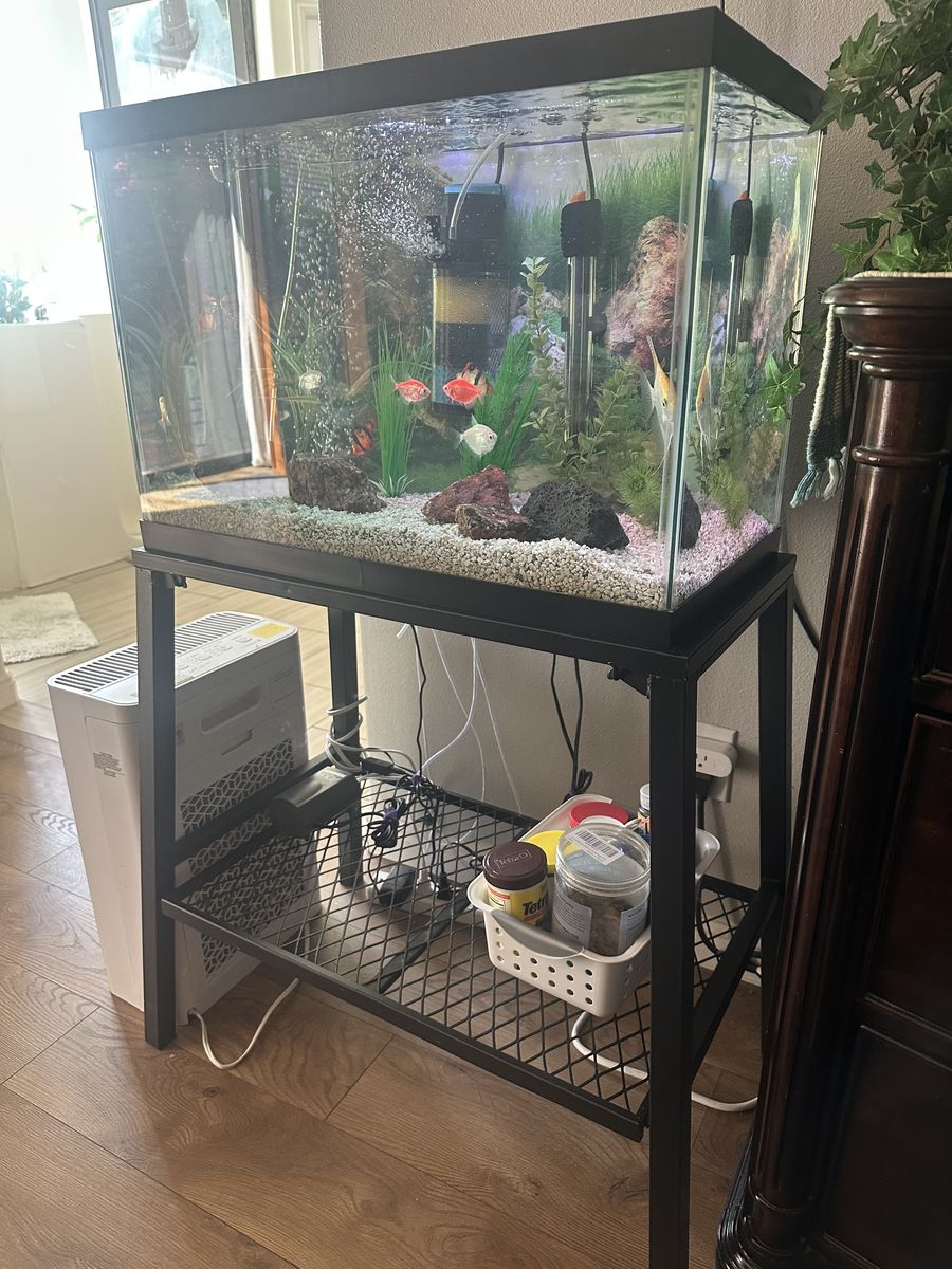 Beautiful Aquarium For Sale