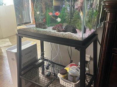 Beautiful Aquarium For Sale