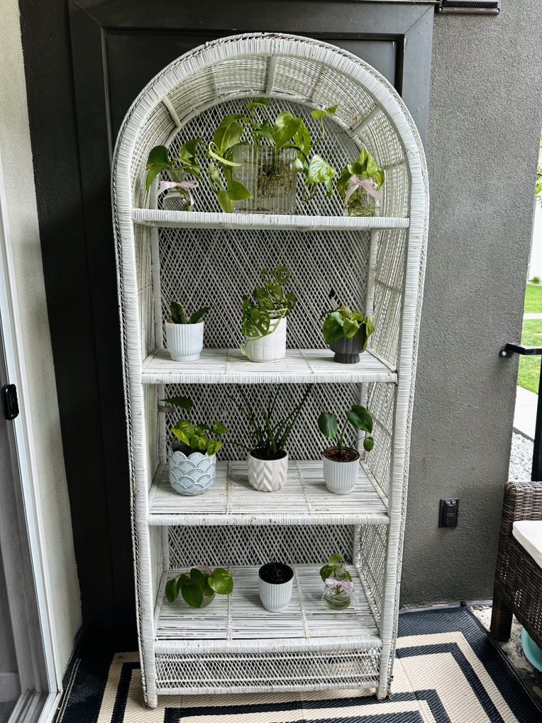 Beautiful Arched Shelf