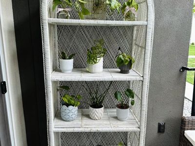 Beautiful Arched Shelf