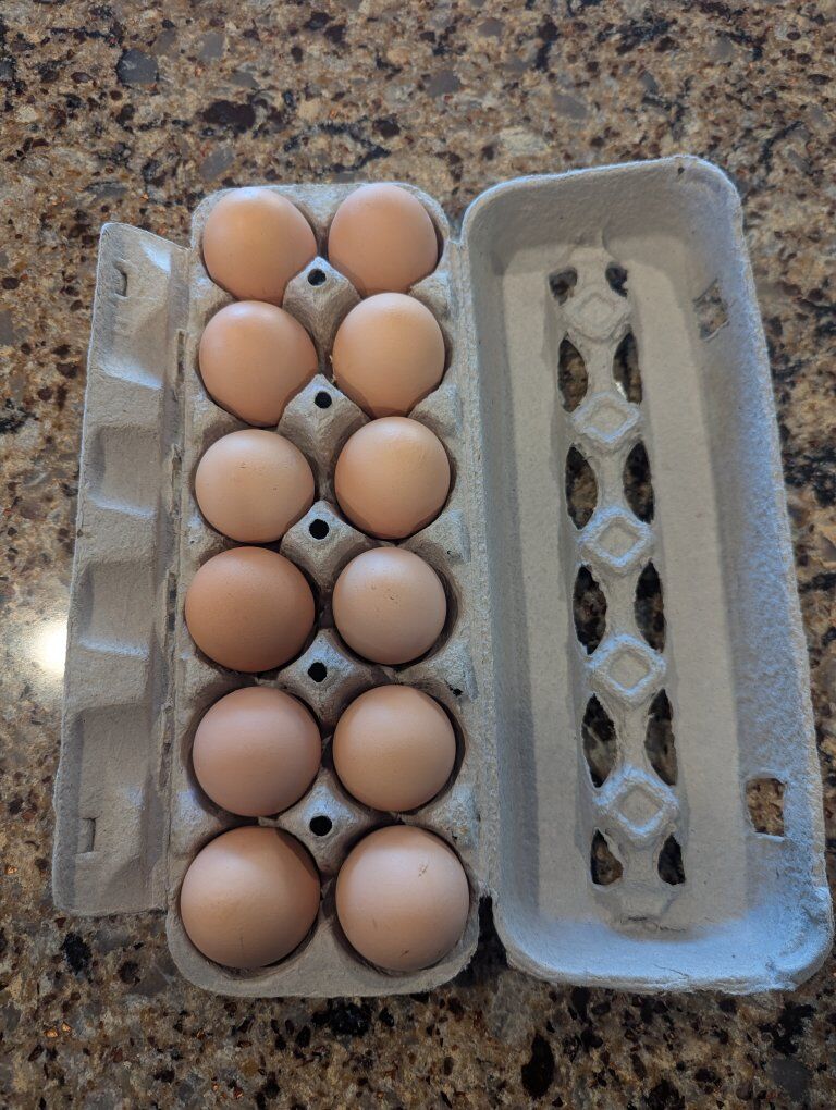 Farm fresh large brown eggs