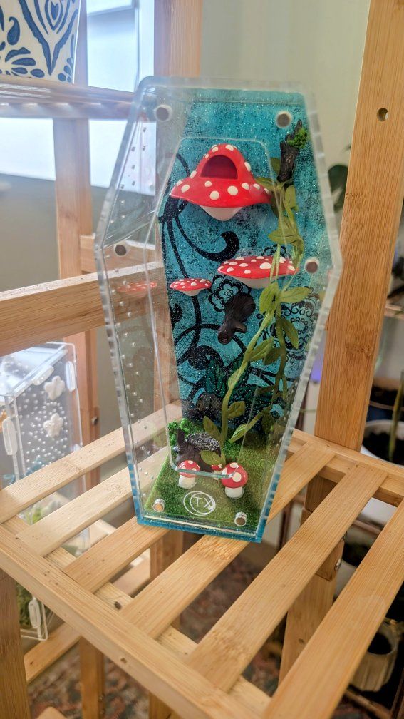 Jumping spider enclosure, spider terrarium, spider house. No spider. Shipping available!