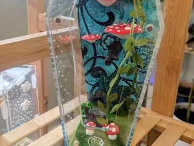 Jumping spider enclosure, spider terrarium, spider house. No spider. Shipping available!