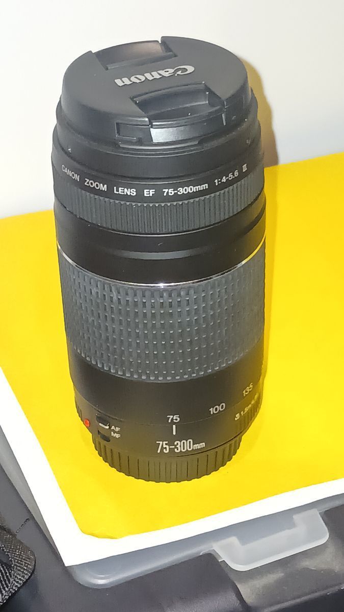Canon 75-300mm
