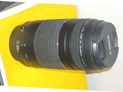 Canon 75-300mm