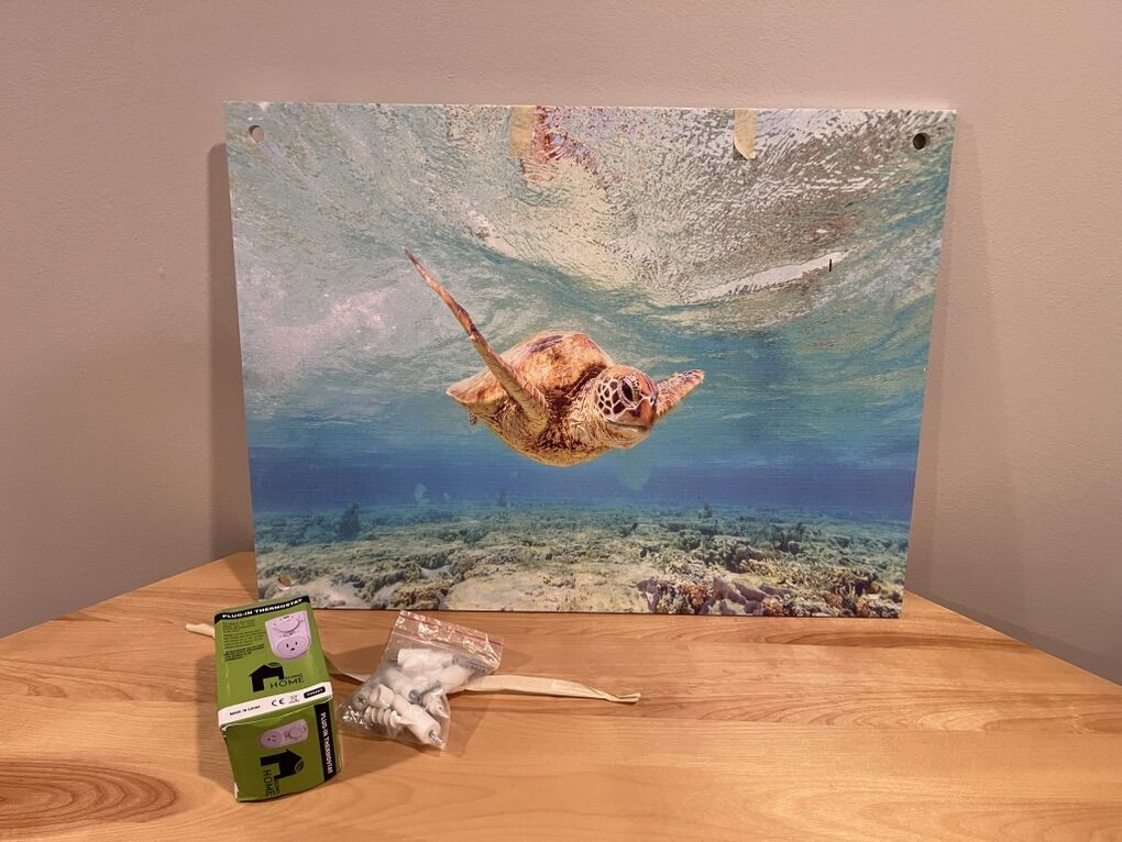 Radiator - Wall Heater