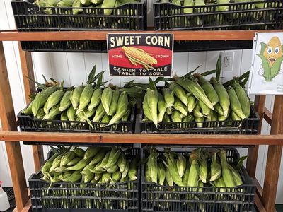 Sweet Corn - Fowers Farm