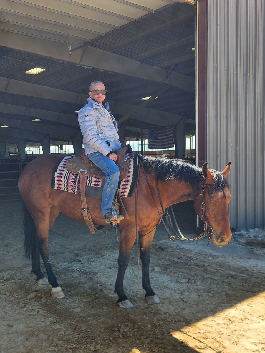 Nice 8 year old mare