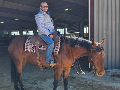 Nice 8 year old mare