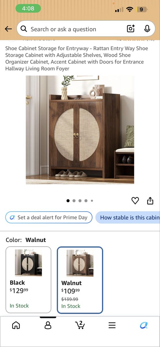 Shoe organizer or just a shelf