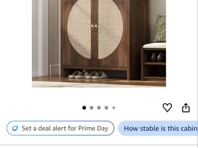Shoe organizer or just a shelf