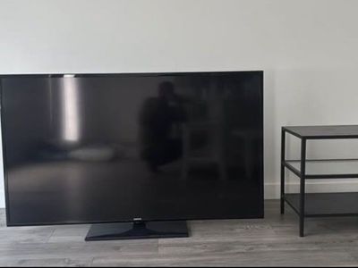 Everything Free- Must Take All