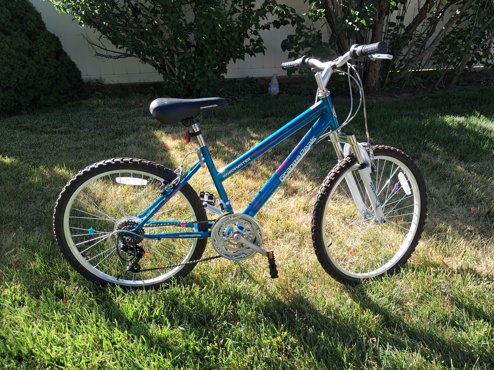 Women's Mountain Bike
