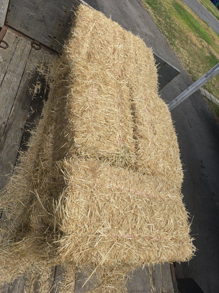 Bales of Straw/Hay