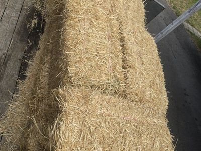 Bales of Straw/Hay
