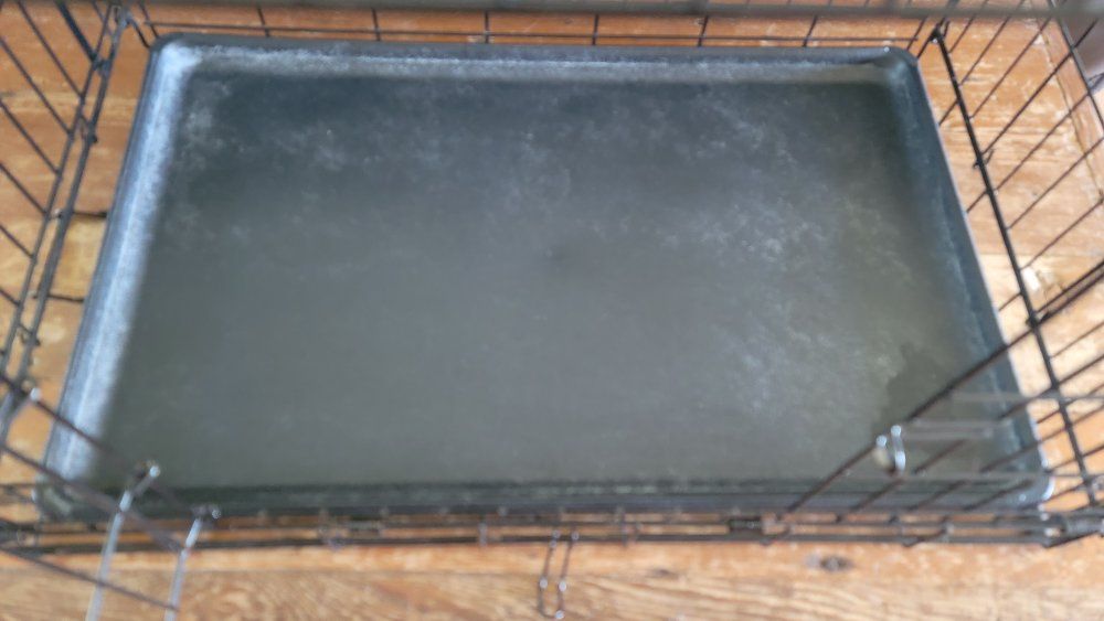 Main image 11