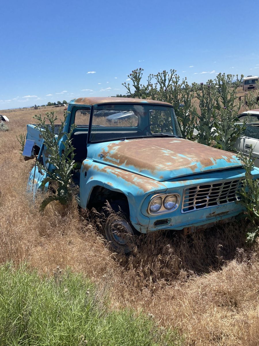 International vehicles WANTED