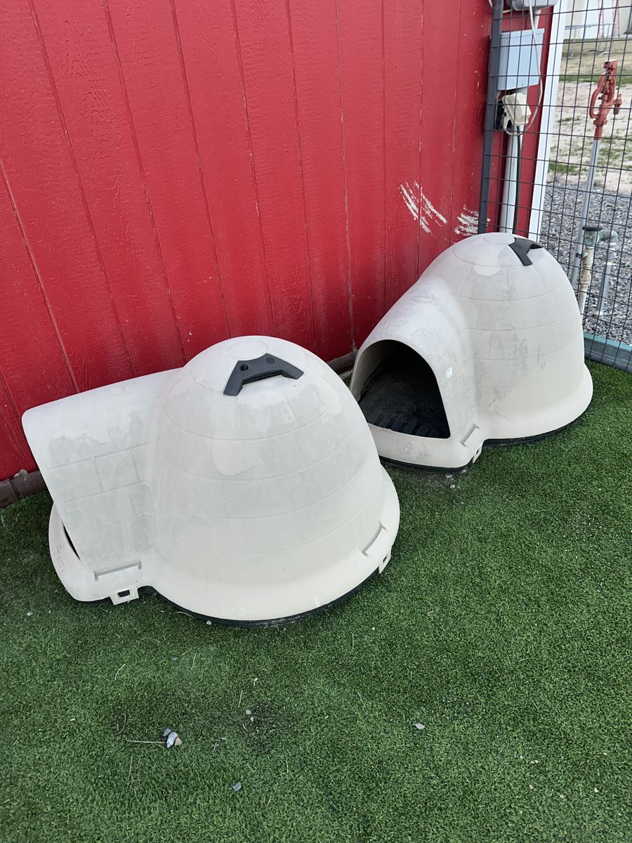 Dog Igloo