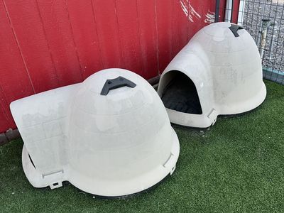 Dog Igloo