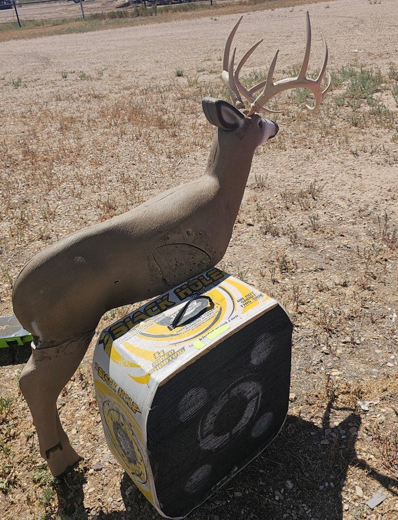 Archery Targets Bundle: 3D Deer Target and Black Hole Target
