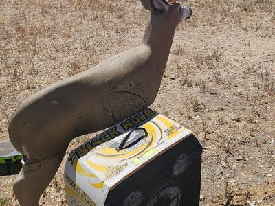 Archery Targets Bundle: 3D Deer Target and Black Hole Target
