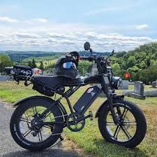 TST R002 for Sale or Trade – Rear Brake Needs Repair