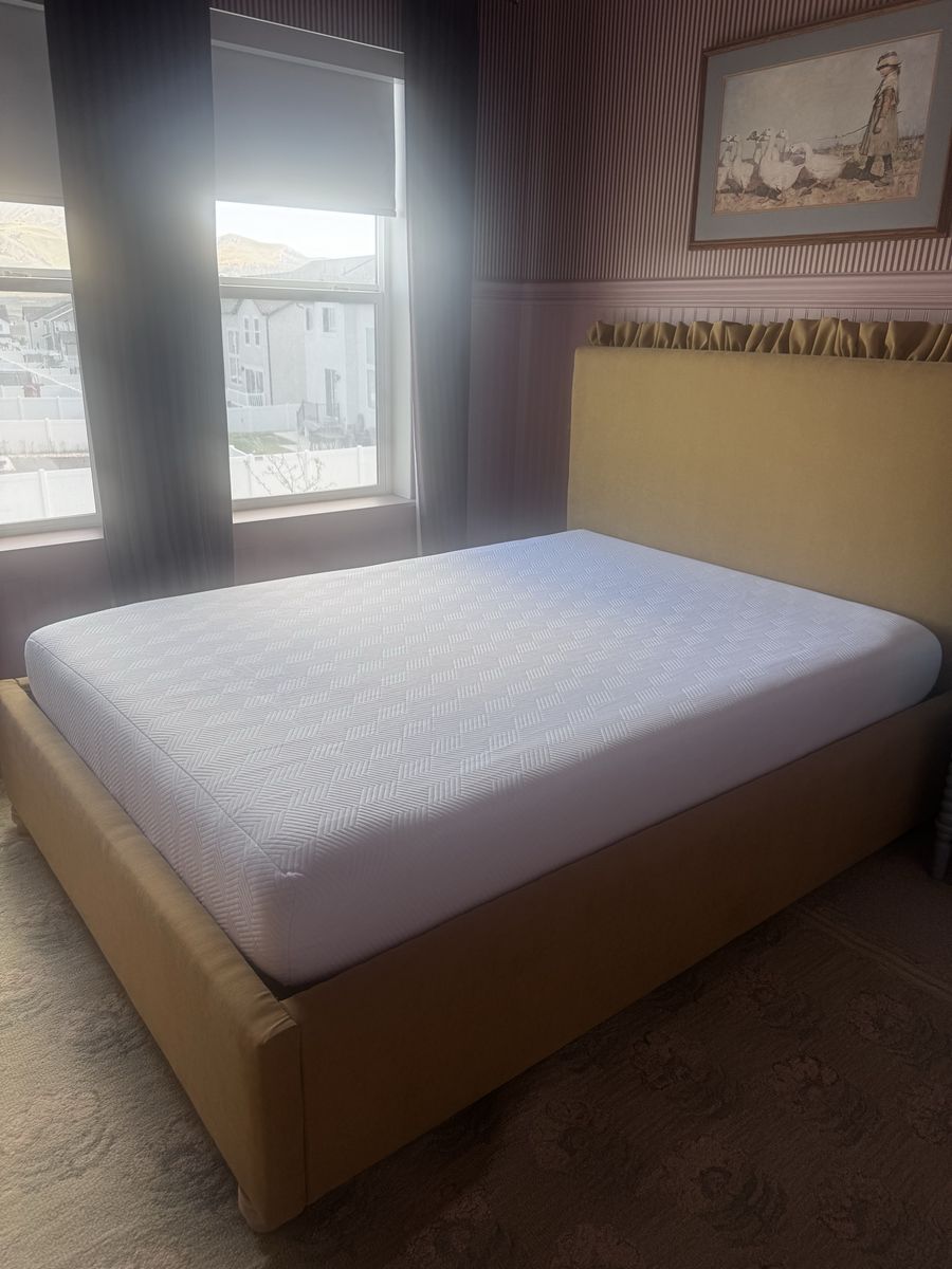 Brand new Purple mattress