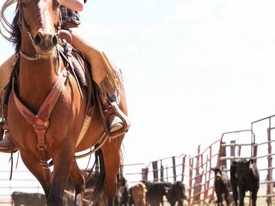 7 Year Old Granddaughter to TR Dual Rey