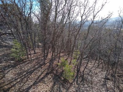 10 acre Heavily Treed Buildable Lot *Seller Financing Available