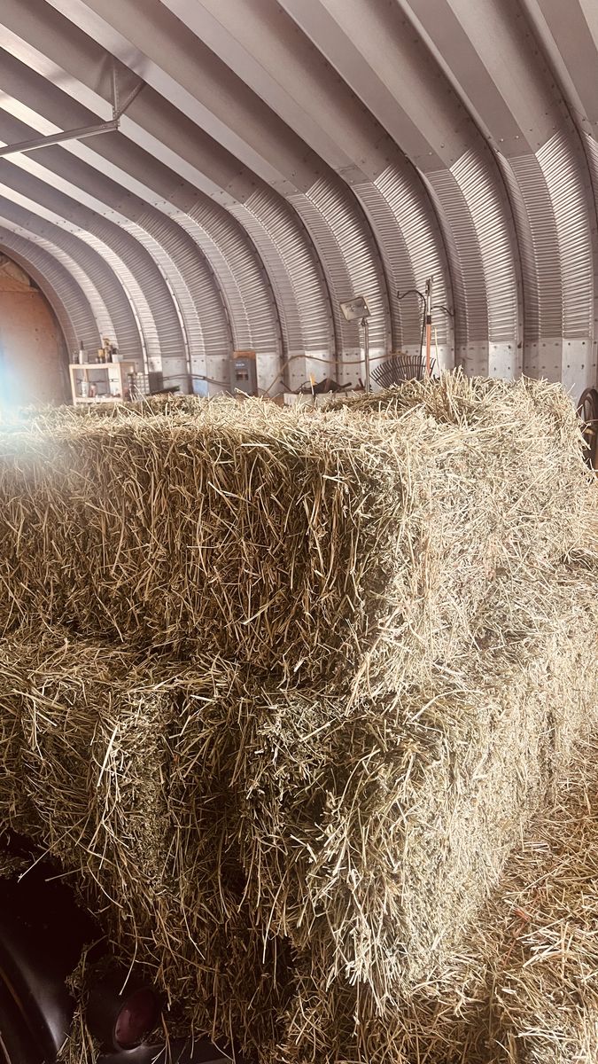 small bales of alfalfa hay  2nd crop cut in early august of 2026  49 bales left in Draper