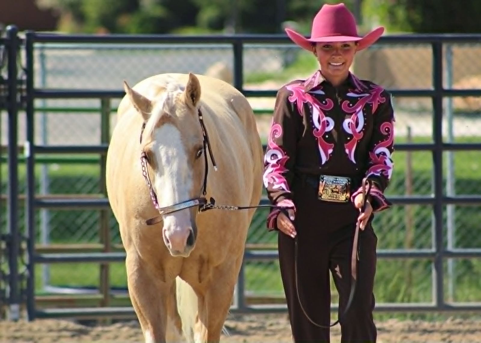 Registered Gelding