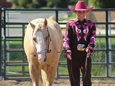 Registered Gelding