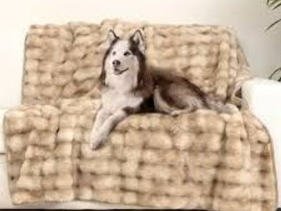 Brentwoof Oversized Waterproof Pet Blanket and Furniture Protector 60in x 70in 1752188 #104316