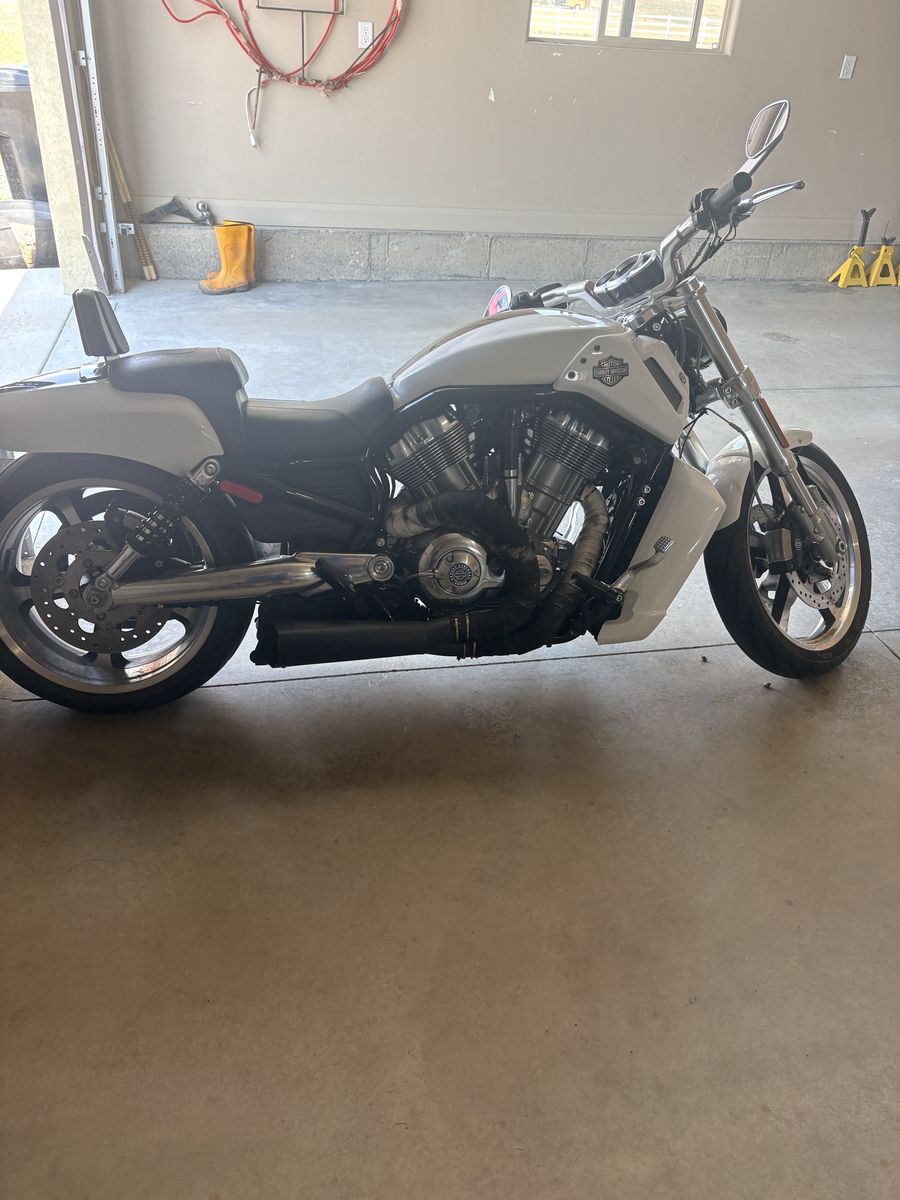 2016 VROD muscle