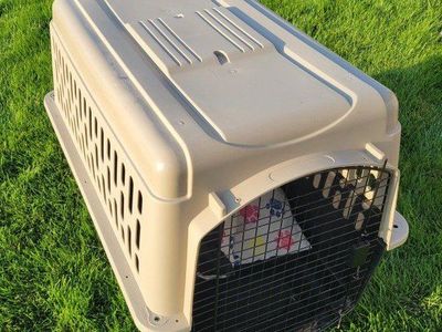 Large Plastic Pet Kennel