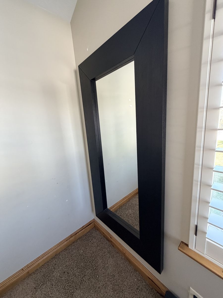 Large Black Framed Mirrors (74” x 37”)
