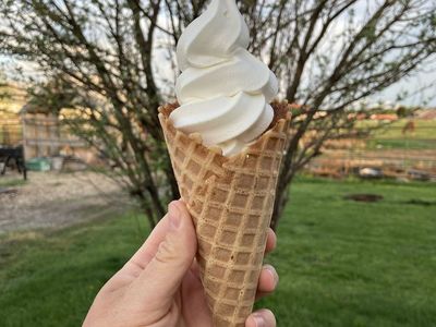 Ice Cream Machine Rental