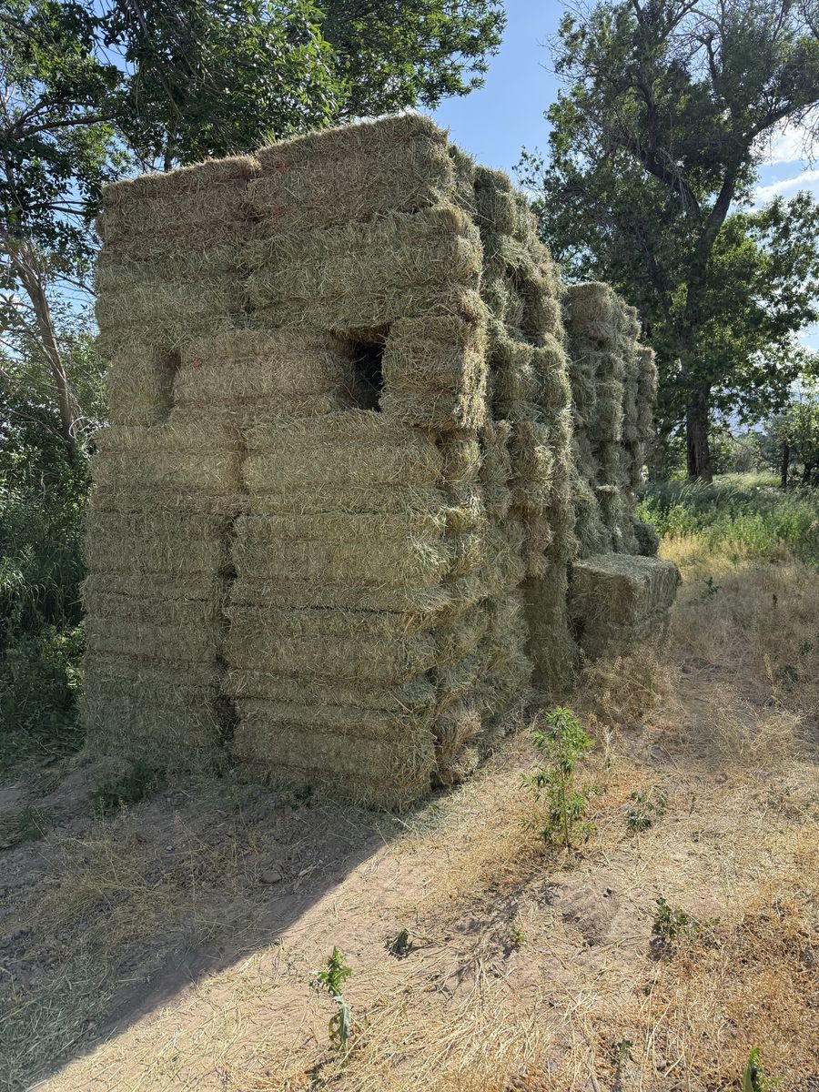90 bales 1st crop cow hay